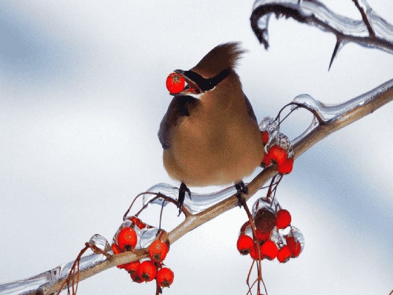 做试管音量39以为试管很简单试管之路的心得